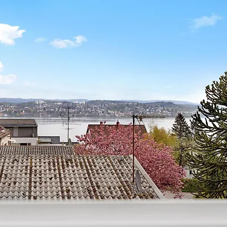 Haus Schwanenweg 公寓 康斯坦茨